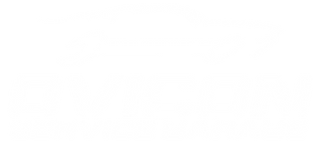 Logo normal de Ovicon Service Garage