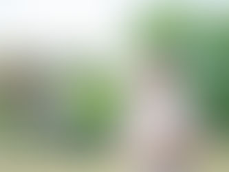 ダイエットを持続させるには