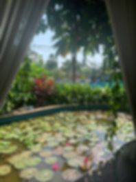 IMG_0581.jpeg