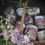 Thumbnail: Special Edition Laura Ashley Tin Candle