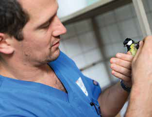L'école des NAC - Photo : Rémi BENOIT