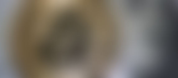 The US government is planning the creation of a Digital Dollar Wallet by 2021