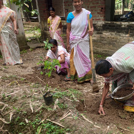 Asia Initiative Community Cleaning & Plantation (3).jpeg