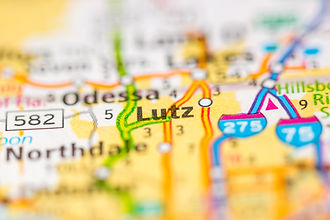 Map of lutz, fl