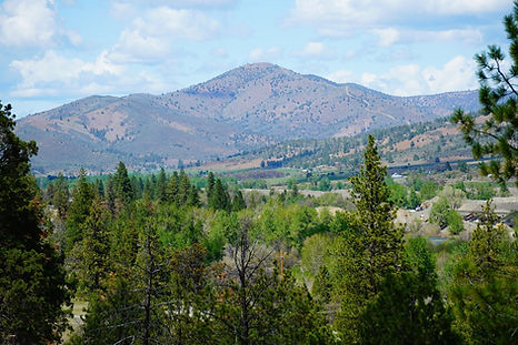 mountain range with a valley filled of trees in callahan