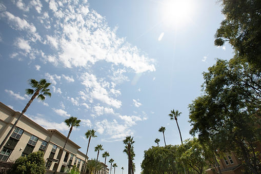 Palm Trees Lining A Sunny Street Under Blue Skies In Anaheim, California