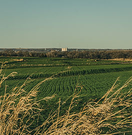 Green Farmland Landscape Near Inola, Oklahoma