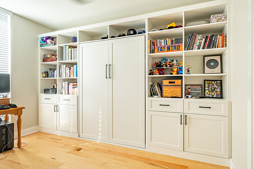 Living Room By Day, Bedroom By Night? Wall Beds Make it Possible for Burlington Residents!