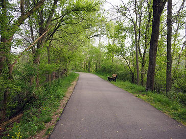 paved green pathway in portland mi