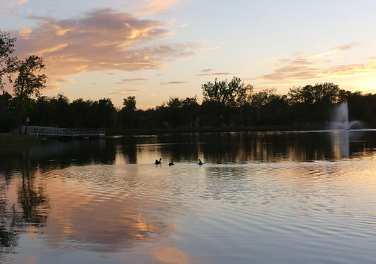 Beautiful lake with swimming swan