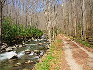 Columbus NC Custom Cabinetry & Storage