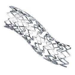 stent (1).png