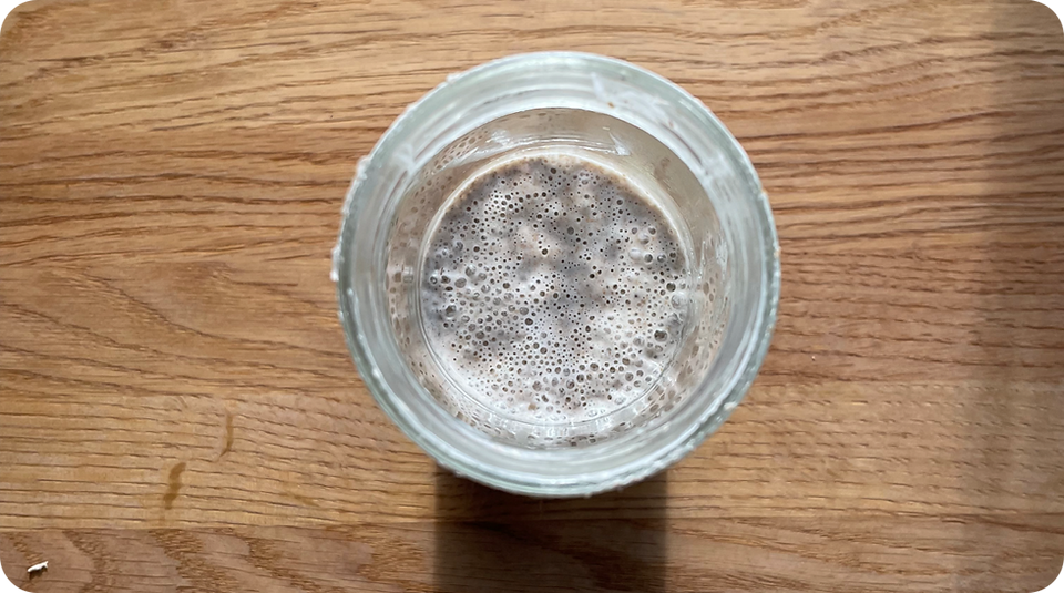 Surdeigsstarter