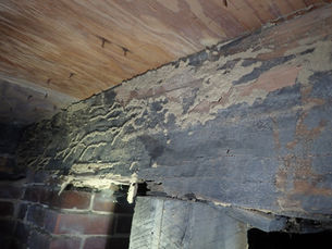 Confessions of a Home Inspector: The Wildest Things Found During a Home Inspection