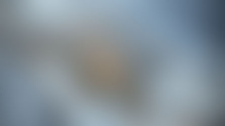 Ice melt damages concrete