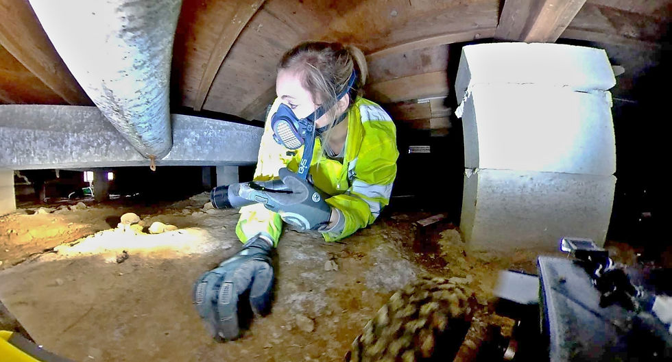 Kalynn inspecting the crawlspace