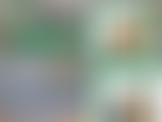 Why Hollow Core Doors Should Never Be Used as Garage-to-House Service Doors