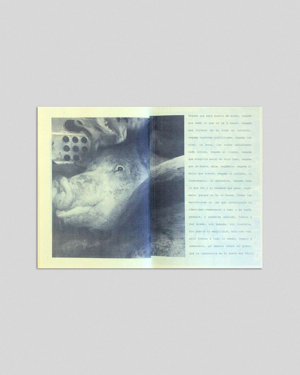 Thumbnail: Fanzine #3