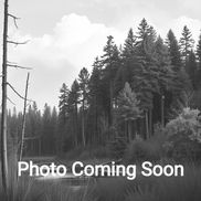 Graham J Profile Place Holder