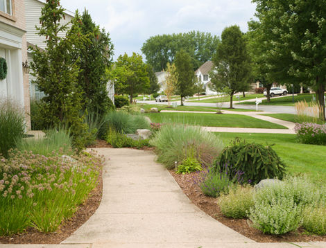 HOA approved native landscape