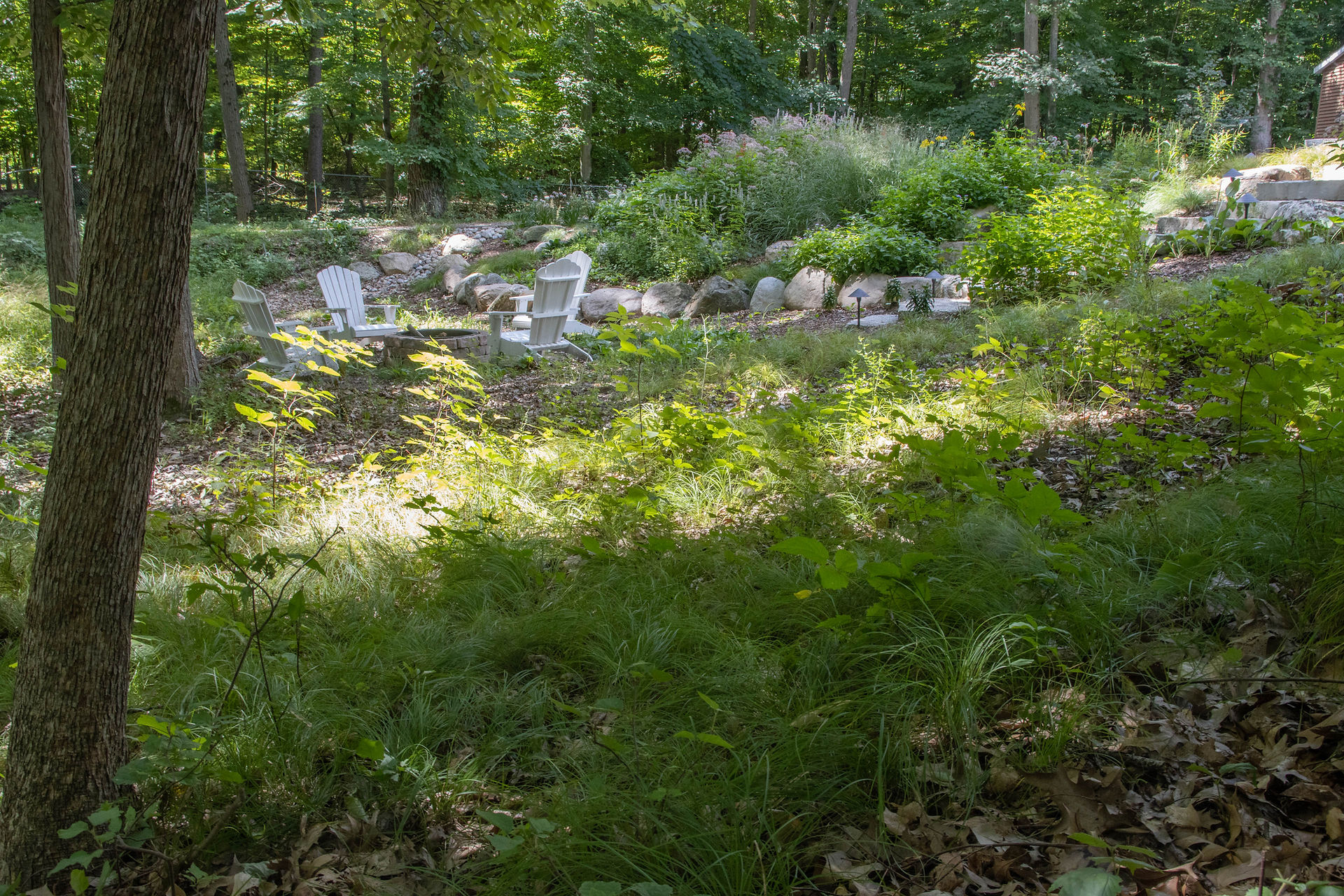 woodland hillside landscaping