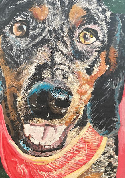 Retrato Mascota