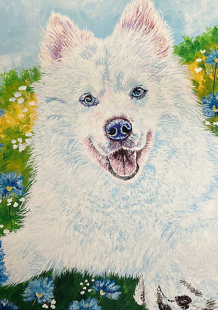 Retrato de Mascota