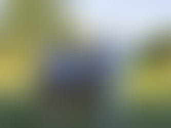 2024 Willett Cup Recap