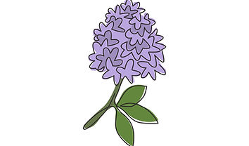 20380779-enda-en-rad-ritning-skonhet-farska-syringavulgaris-for-heminredning-vaggkonst-pos