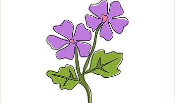 blomma lila.jpg