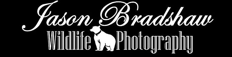 Official. logo white.jpg