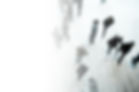 white_gradient.jpg
