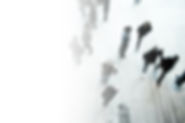white_gradient.jpg