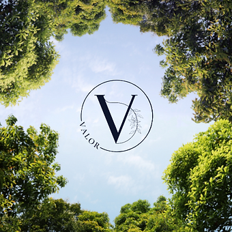 Copy of Copy of Copy of Copy of Copy of Valor by tanya (2).png