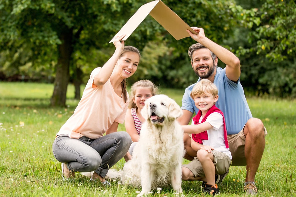 Family with Cardboard Roof