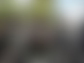 Maduro aciona plano militar em plena véspera da posse presidencial
