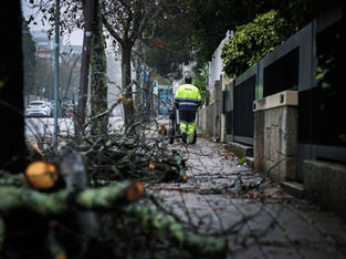 Proteção Civil registou 276 ocorrências devido a chuva e vento fortes