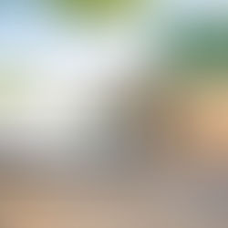 Commercial Van Insurance Comparison: The Ultimate UK Guide