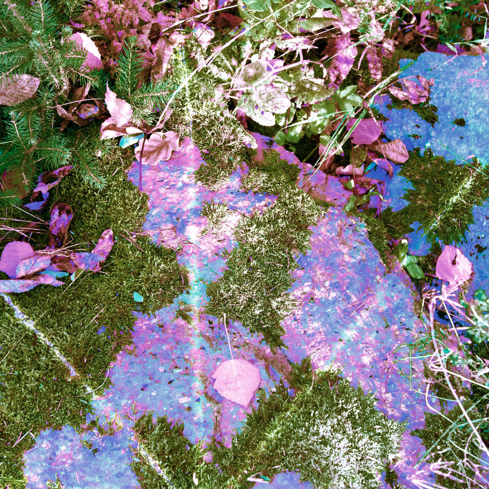 Abstraktní ztvárnění přírody