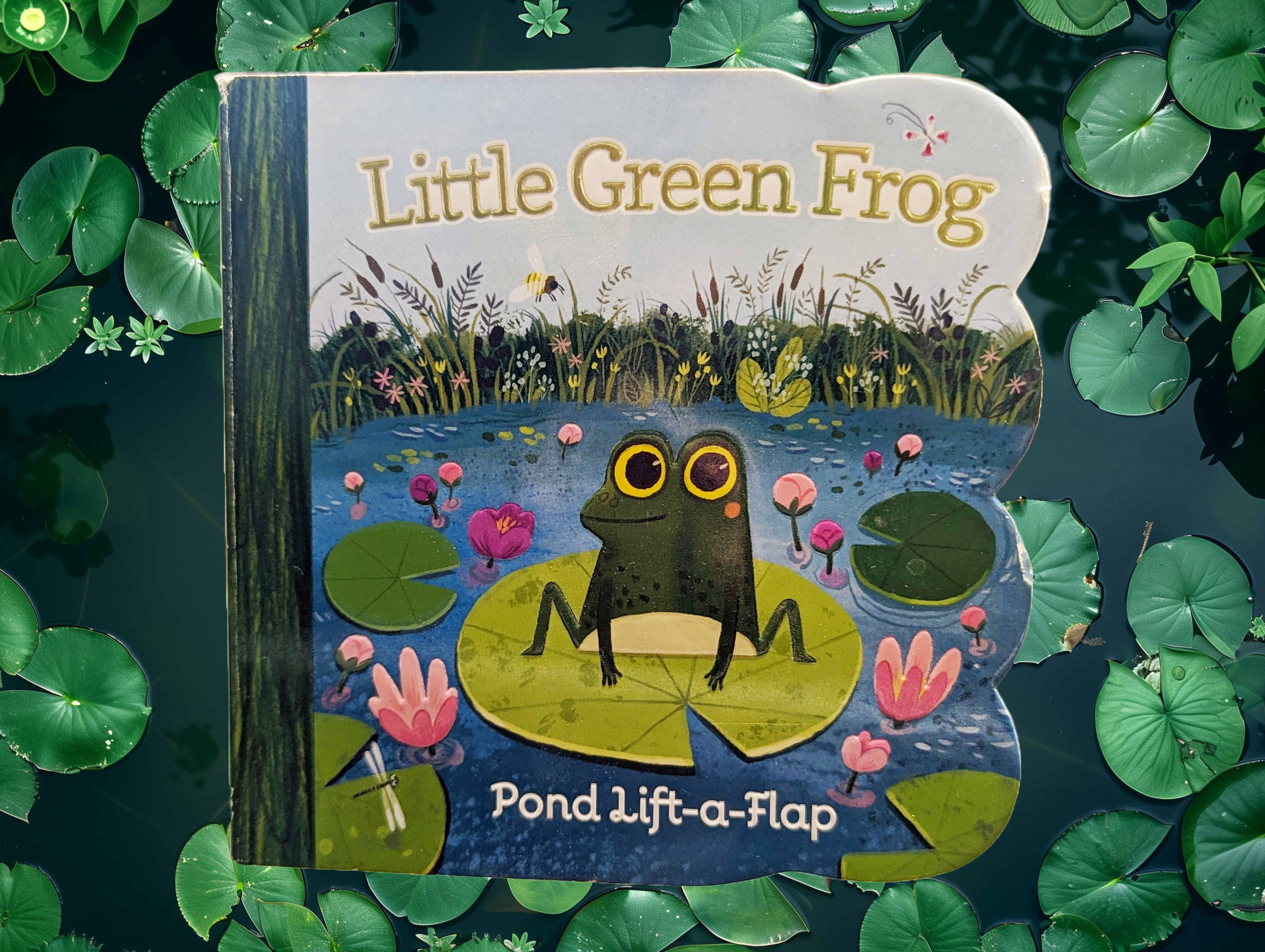 Little Green Frog - Pond Lift-a-Flap by Ginger Swift