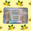 Thumbnail: Vanilla Fudge - 8oz