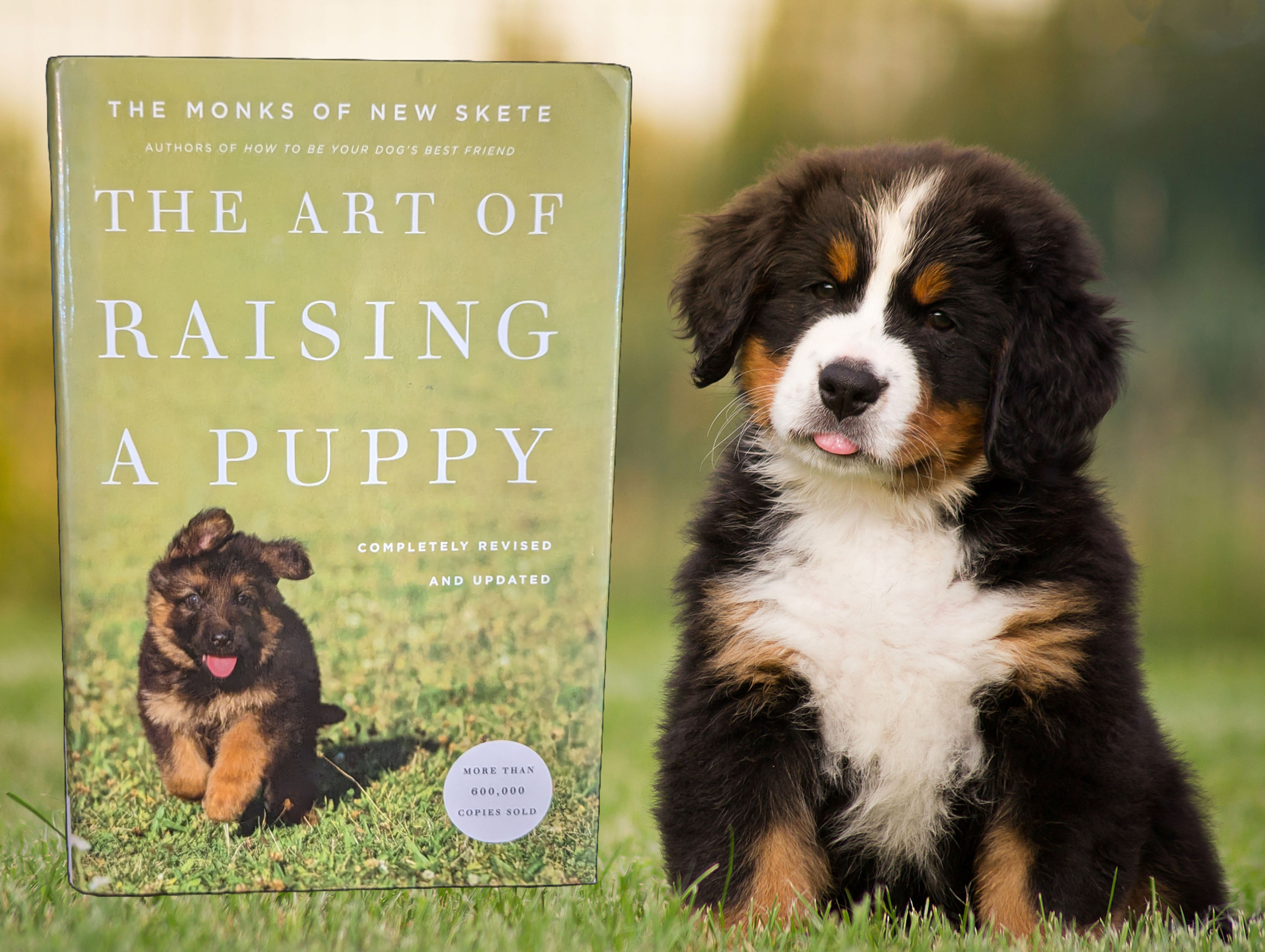 The Art of Raising a Puppy - Revised Edition by The Monks of New Skete
