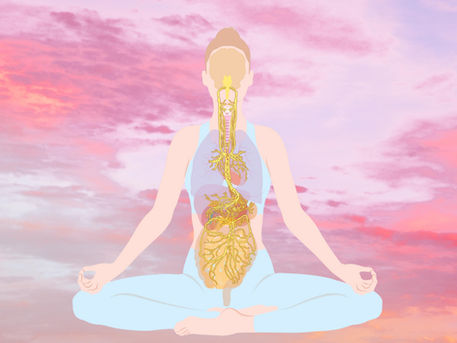 Calm Your Nervous System: The Role of Breath in Feeling Safe