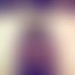 植え替え 第二弾