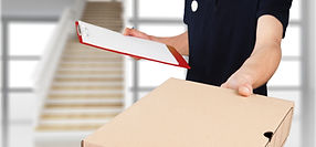Package Delivery