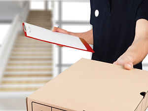 Package Delivery