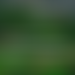 FREE Courses: Addressing environmental challenges using Green Infrastructure