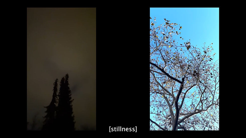 Raphael Reichert: [stillness], 2023