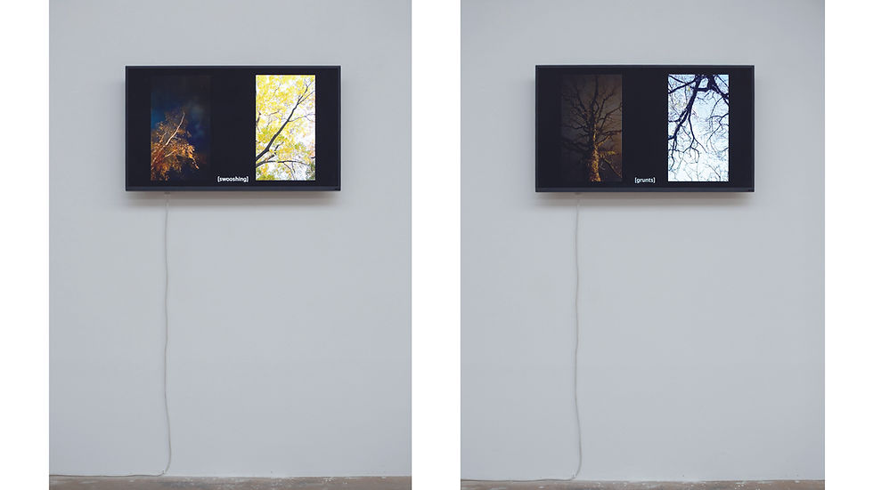 Raphael Reichert: [stillness], 2023