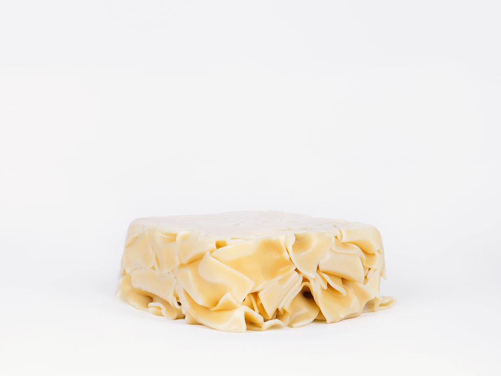 Raphael Reichert: pasta 4, pappardelle (hommage to my father), 2022